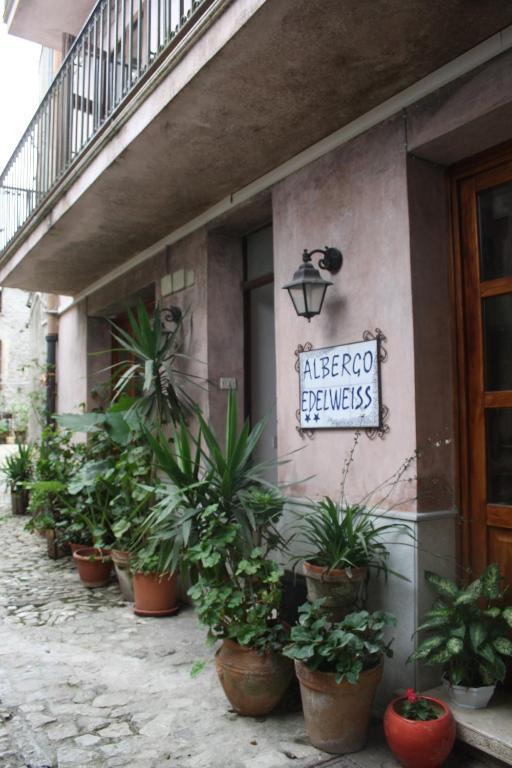 Edelweiss Erice